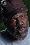 Frankie Faison