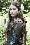 Charlotte Hope