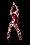 Nina Flowers