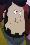 Shinnosuke Ogami