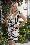 Busy Philipps