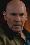 Mitch Pileggi