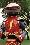 Richard Steven Horvitz