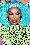 The Vixen