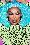 The Vixen