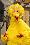 Caroll Spinney