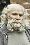 Jim Cody Williams