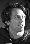 Randy Pearlstein