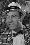 Louis Quinn