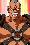 Banjou Ginga